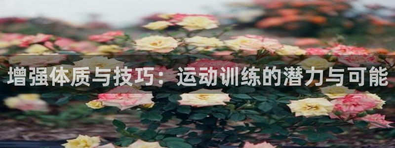 98体育网