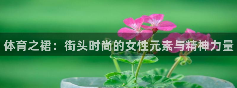 98体育回放