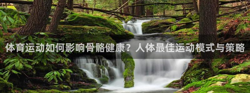 关键词