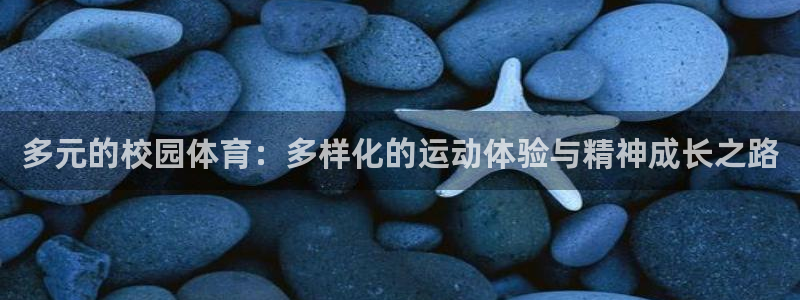 98体育官网