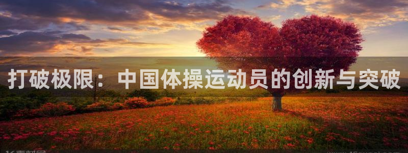98体育赛事直播入口：打破极限：中国体操运动员的创新与突破