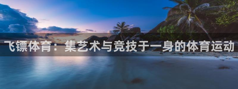 关键词：飞镖体育：集艺术与竞技于一身的体育运动