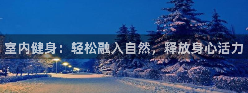 拳皇98体育队