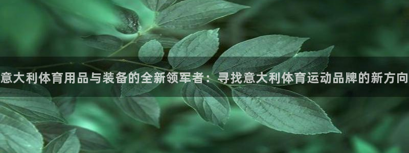 98体育赛事直播入口：意大利体育用品与装备的全新领军者：寻找意大利体育运动品牌的新方向